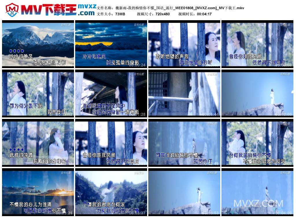 魏新雨-我的痴情你不懂_国语_流行_MEE01808